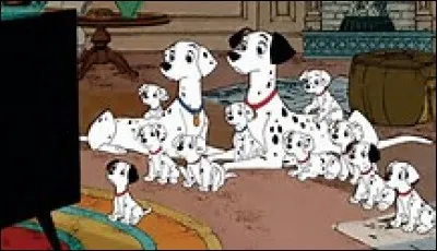 Comment s'appelle ce film ?