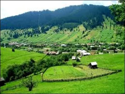 Quelle est la langue officielle de la Roumanie ?