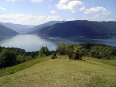 Qui préside le Sénat roumain ?