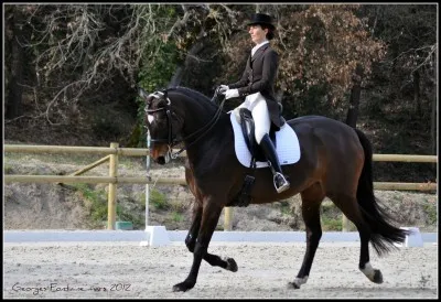 Quelle est cette discipline équestre ?