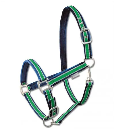 Comment s'appelle cet objet ?