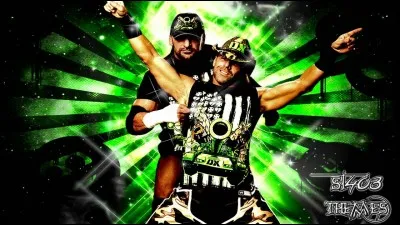 Comment s'appelle le duo Triple H et Shawn Michaels ?