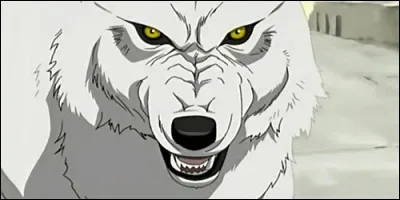 Comment s'appelle ce loup de "Wolf's Rain" ?