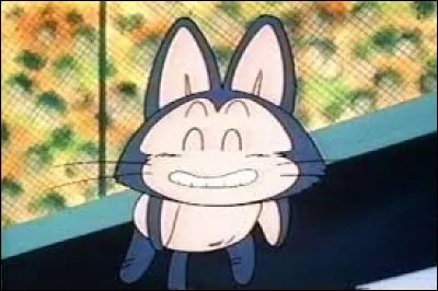 Qui est le/la propriétaire de Plume ?