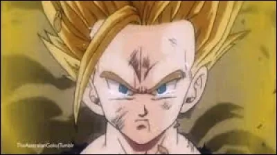 Quel âge avait Son Gohan quand Son Goku est mort ?