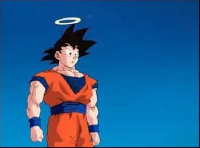 Pourquoi Son Goku peut-il venir sur Terre ?