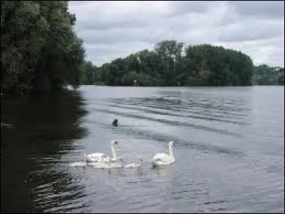 Dans le même temps, pour améliorer quel système l'État français fait-il installer un système de gestion des eaux usées ?