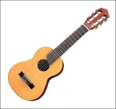 Comment appelle-t-on le joueur de guitare ?