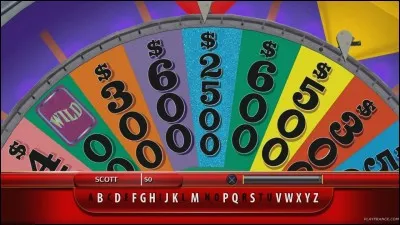 Benjamin Castaldi a déjà présenté "La roue de la fortune".