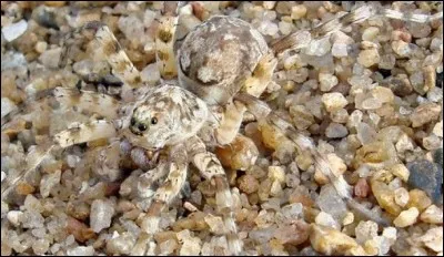 Que voyez-vous sur cette photo ?