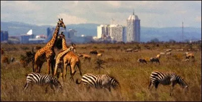 K - Niamey est la capitale du "Kenya".