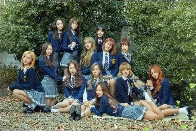 Qui est le leader de WJSN (Cosmic Girl) ?