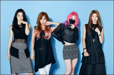 Qui est le leader de D.Holic ?