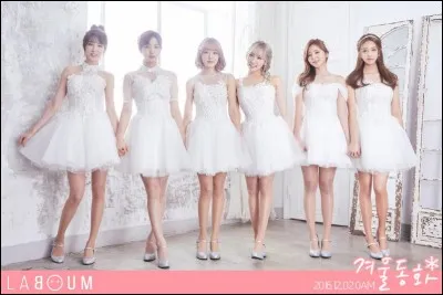 Qui est le leader de Laboum ?