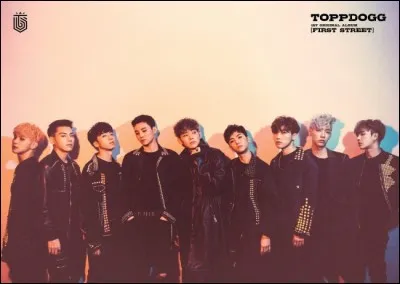Qui est le leader de Topp Dogg ?