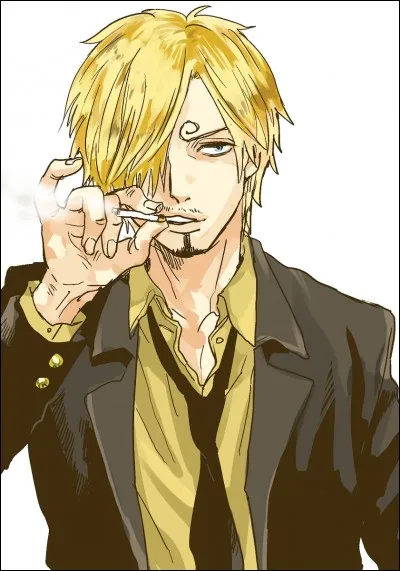 Avec quoi Sanji se bat-il ?
