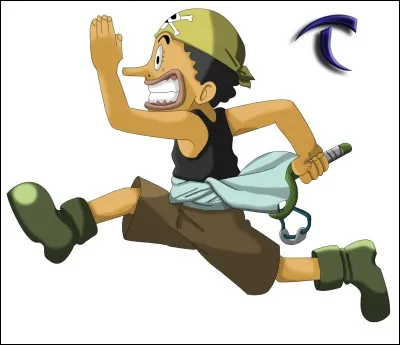 Que peut-on dire d'Ussop ?