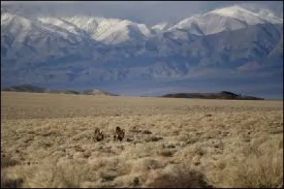 Trouvez l'intrus... (peuple non visité)