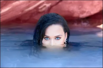 Grâce à quel titre connaît-elle un succès international en 2008 ?