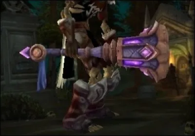 Quel est le nom de cette arme ?