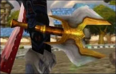 Quel est le nom de cette arme ?