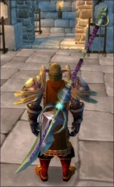 Quel est le nom de cette arme ?