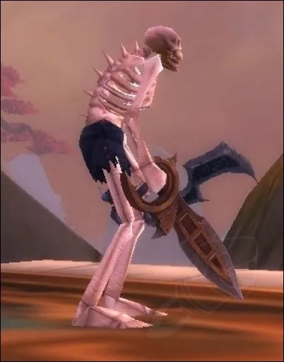 Quel est le nom de cette arme ?