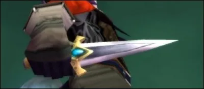 Quel est le nom de cette arme ?