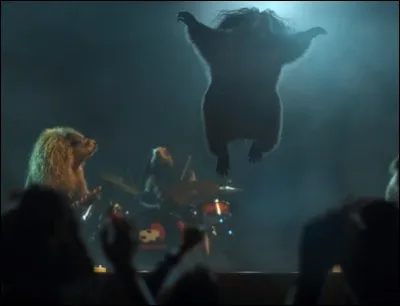 Sur quelle cha&icirc;ne fran&ccedil;aise de t&eacute;l&eacute;vision avez-vous vu cet animal ?