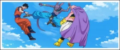 Dans quelle série Beerus combat-il ainsi Gohan et Buu ?