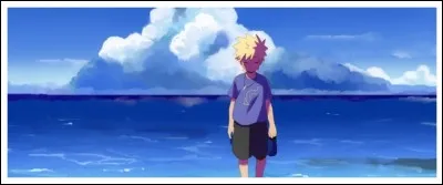 Si jamais la silhouette de ce petit garçon ne vous dit rien, je vous conseille de regarder son t-shirt, vous pourriez y reconnaître facilement le symbole d'un des villages apparaissant dans :