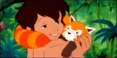 Dans "Le Livre de la Jungle", qui a élevé Mowgli ?