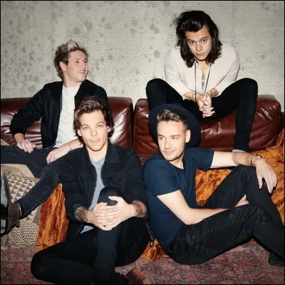 Lequel des membres des One Direction a quitté le groupe le 25 mars 2015 ?