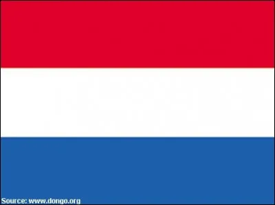 Comment dit-on "idiot" en néerlandais ?