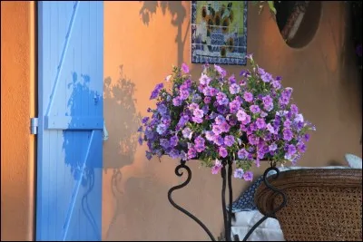 Comment est l'été dans une chanson de Mort Shuman présente dans le film « L'hôtel de la plage »?