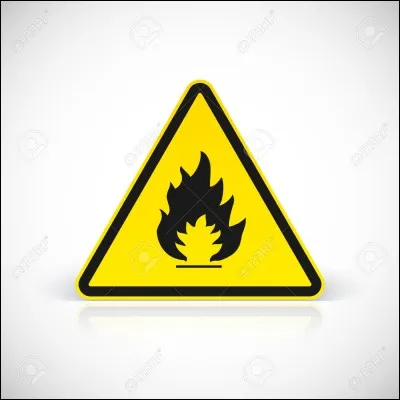 L'incendie de Rome est dû à :