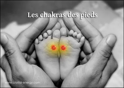 Position de certains doigts de pied.