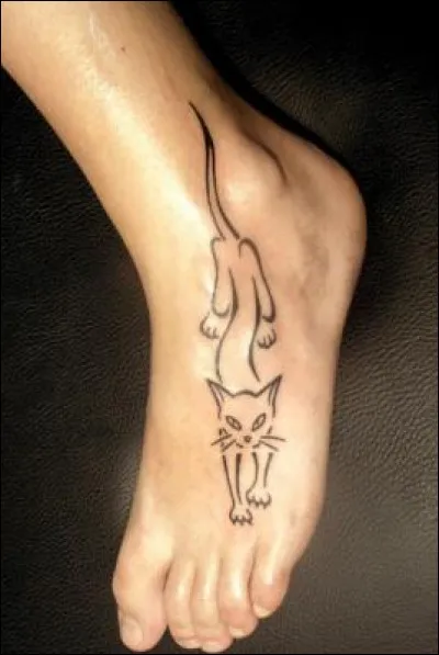 Se traîne à nos pieds.