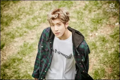 Quelle est la nourriture préférée de Jin Jin ?