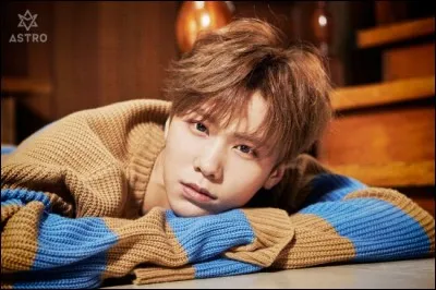 Quand est né Rocky ?