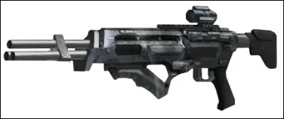 Quel est le nom de ce fusil du mode "solo" ?