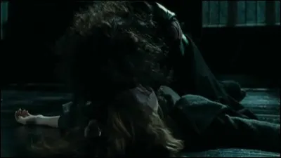 Qu'a marqué Bellatrix sur le bras d'Hermione ?