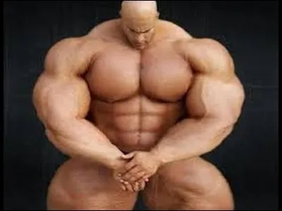 Quel est l'ancien nom pour désigner le muscle sartorius ?