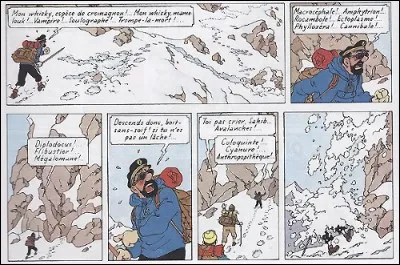 Dans "Tintin au Tibet", Haddock, enseveli sous la neige, lance à destination du Yéti : "Satrape!" Savez-vous ce qu'est un satrape ?