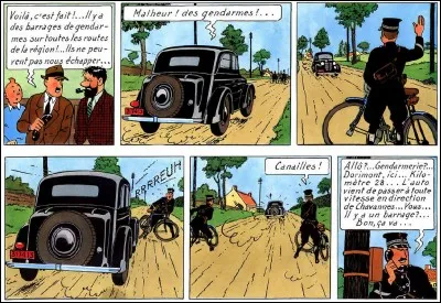 Dans les "Sept boules de cristal", Haddock lance aux bandits qui s'échappent dans une voiture noire : "Protozoaires". Qu'est ce qu'un protozoaire ?