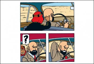 Dans "Tintin au pays de l'or noir", Haddock lance à Müller qui emmène Abdallah : "Oryctérope !". Qu'est-ce qu'un oryctérope ?