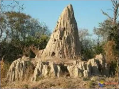 Les termitières peuvent mesurer jusqu'à...