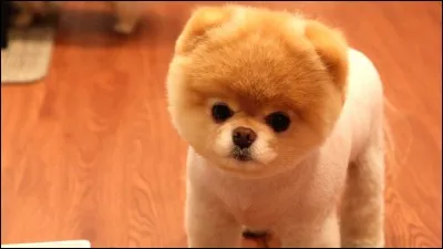 Quelle est la bonne orthographe ?