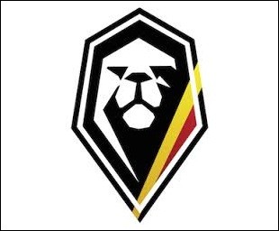 Dans quel sport les Belgian Lions défendent-ils les couleurs de la Belgique ?