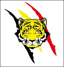 On change de couleurs avec les Yellow Tigers, l'équipe féminine belge de...